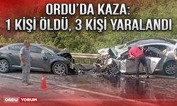 Ordu’da kaza: 1 kişi öldü, 3 kişi yaralandı