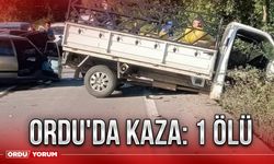 Ordu'da kaza: 1 ölü