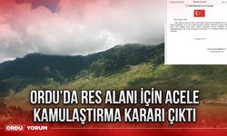 Ordu’da RES alanı için acele kamulaştırma kararı çıktı