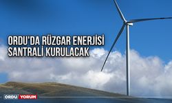 Ordu'da rüzgar enerjisi santrali kurulacak