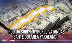 Ordu’da Suriye uyruklu vatandaş sahte dolarla yakalandı