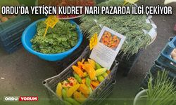 Ordu’da yetişen kudret narı pazarda ilgi çekiyor