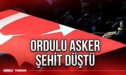 Ordulu asker şehit düştü