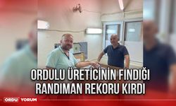 Ordulu üreticinin fındığı randıman rekoru kırdı