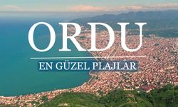 Ordu'da Denize Nerede Girilir? Ordu'nun En Güzel Plajları Rehberi 2024