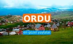 Ordu'nun En Güzel Yaylaları: 10 Meşhur Yayla