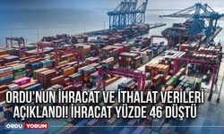 Ordu'nun ihracat ve ithalat verileri açıklandı! İhracat yüzde 46 düştü