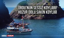 Ordu'nun Sessiz Koyları! Huzur Dolu Sakin Koylar