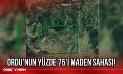 Ordu’nun yüzde 75’i maden sahası!