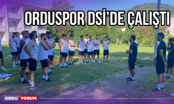 Orduspor, DSİ'de Çalıştı