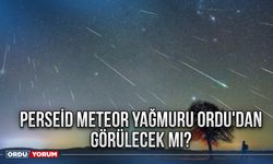 Perseid Meteor Yağmuru Ordu'dan Görülecek mi?