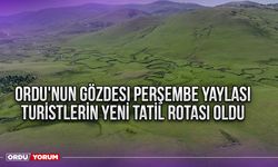 Ordu'nun gözdesi Perşembe Yaylası turistlerin yeni tatil rotası oldu