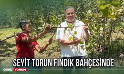 Seyit Torun fındık bahçesinde