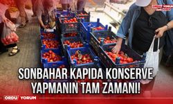 Sonbahar kapıda konserve yapmanın tam zamanı!