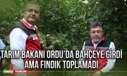 Tarım Bakanı Ordu’da bahçeye girdi ama fındık toplamadı