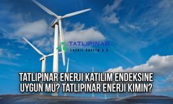 Tatlıpınar enerji kimin? Tatlıpınar enerji hisse kodu ve fiyatı ne?