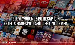 Televizyonunuz bu hesap için netflix hanesine dahil değil ne demek çözümü nedir?