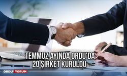 Temmuz ayında Ordu'da 20 şirket kuruldu