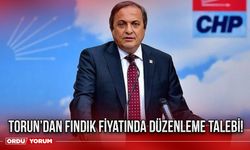 Torun’dan fındık fiyatında düzenleme talebi!