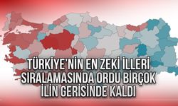 Türkiye’nin en zeki illeri sıralamasında Ordu birçok ilin gerisinde kaldı