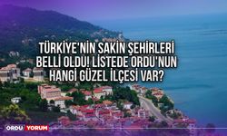 Türkiye'nin sakin şehirleri belli oldu! Bakın Ordu kaçıncı sırada