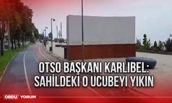 OTSO Başkanı Karlıbel: Sahildeki o ucubeyi yıkın