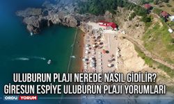 Uluburun Plajı nerede nasıl gidilir? Giresun Espiye Uluburun Plajı yorumları