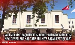 Vali mülkiye başmüfettişi nedir? Mülkiye Müfettişi Neyi denetler? Kaç tane mülkiye başmüfettişi var?