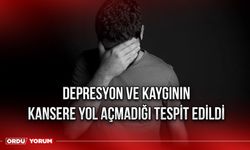 Depresyon Ve Kaygının Kansere Yol Açmadığı Tespit Edildi