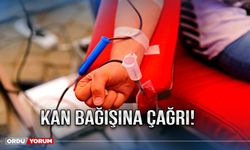 Kan bağışına çağrı!