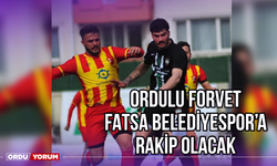 Ordulu Forvet Fatsa Belediyespor'a Rakip Olacak