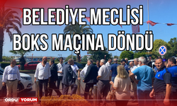 Belediye meclisi boks maçına döndü