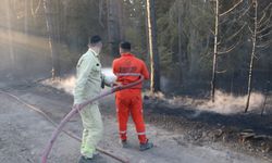 Gerede ve Kızılcahamam'da ormanlık alanda çıkan yangın söndürüldü