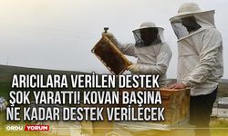 Arıcılara verilen destek şok yarattı! Kovan başına ne kadar destek verilecek