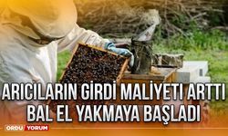 Arıcıların girdi maliyeti arttı bal el yakmaya başladı