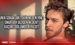 Arka Sokaklar Tekin neden yok? Onur Bay diziden neden kaçıncı bölümde ayrıldı?