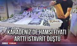 Karadeniz’de hamsi fiyatı arttı istavrit düştü