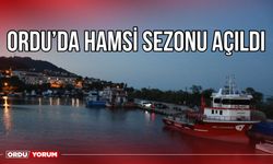 Ordu’da hamsi sezonu açıldı