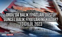 Ordu'da balık fiyatları düştü! İşte, Güncel balık fiyatları ne kadar?  13 Eylül 2023