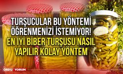 Turşucular bu yöntemi öğrenmenizi istemiyor! En İyi Biber turşusu nasıl yapılır kolay yöntem