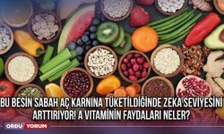 Bu besin sabah aç karnına tüketildiğinde zeka seviyesini arttırıyor! A vitaminin faydaları neler?