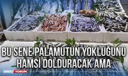 Bu sene palamutun yokluğunu hamsi dolduracak ama