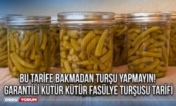 Bu tarif bakmadan turşu yapmayın! Garantili Kütür kütür fasülye turşusu tarifi