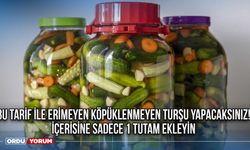 Bu tarif ile erimeyen köpüklenmeyen turşu yapacaksınız! İçerisine sadece 1 tutam ekleyin