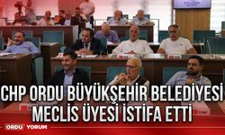 CHP Ordu Büyükşehir Belediyesi meclis üyesi istifa etti