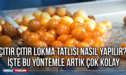 En kolay lokma tatlısı nasıl yapılır? İşte çıtır çıtır lokma tatlısı tarifi