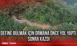 Define bulmak için Ormana önce yol yaptı sonra kazdı