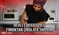 Devlet desteğiyle fındıktan çikolata yapıyor