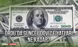 Ordu'da 7 Eylül 2023 Güncel Döviz Fiyatları- 7 Eylül Dolar kaç TL?