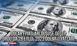 Dolar fiyatları düşüşe geçti! Ordu'da 28 Eylül 2023 dolar fiyatları